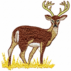 Gazelle Embroidery Design 3 Gazelle Embroidery Design 3